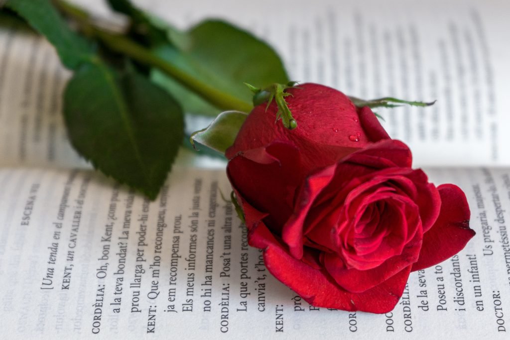 10 maneras de celebrar Sant Jordi 93 El Día de Sant Jordi