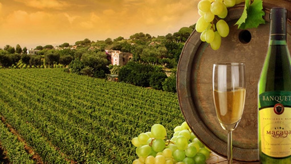 10 estilos de vino para explorar y disfrutar 4 f.elconfidencial.com original db8 b7c b14 db8b7cb141f6a733c7392b5744ff2e21