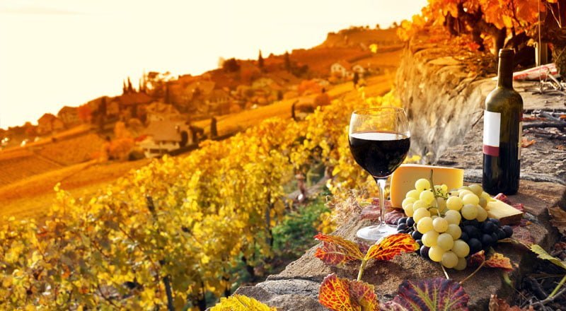 Amantes del vino: los 5 mejores lugares para viajar 40 amantes del vino