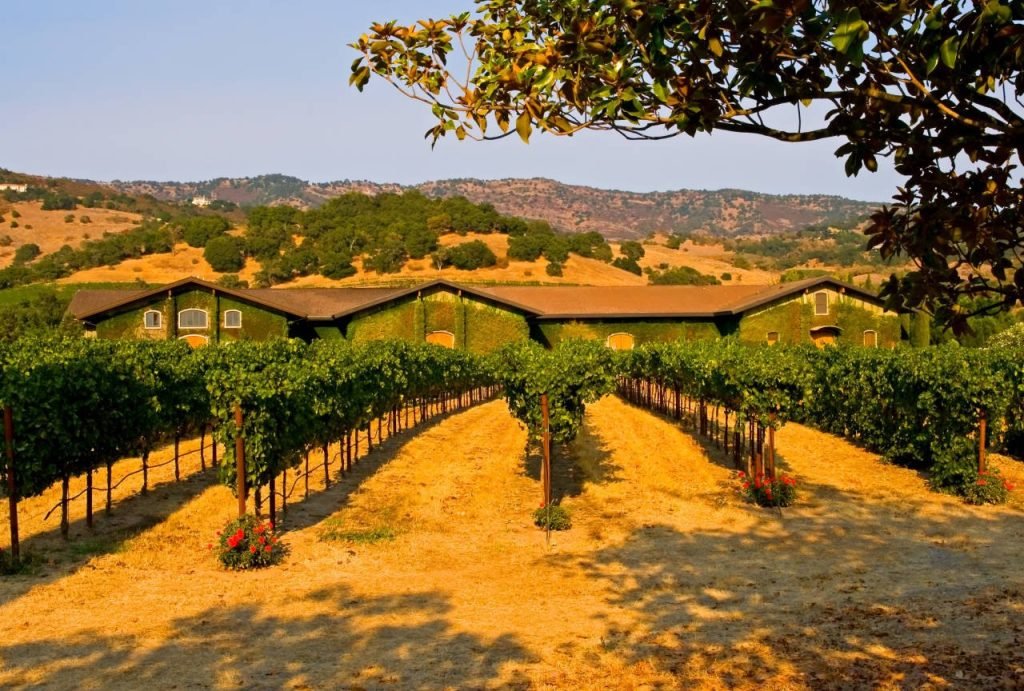 Amantes del vino: los 5 mejores lugares para viajar 2 napa valley w1280