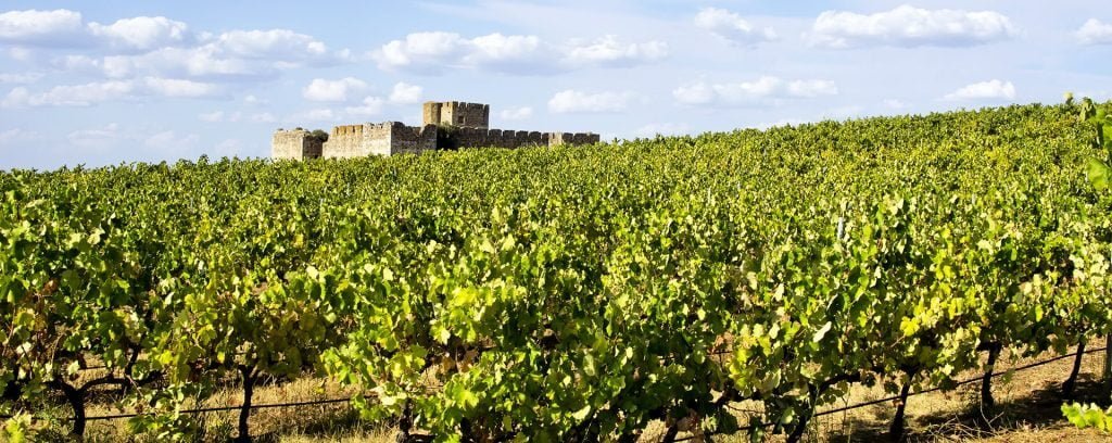 Enoturismo: los 8 destinos para amantes del vino 2 0003E9777A034A