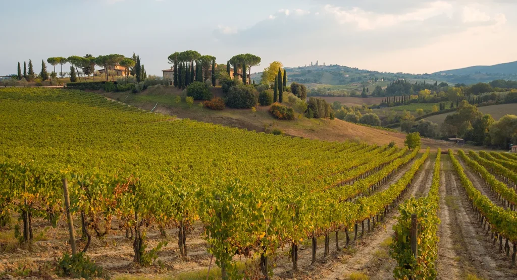 Enoturismo: los 8 destinos para amantes del vino 1 108897