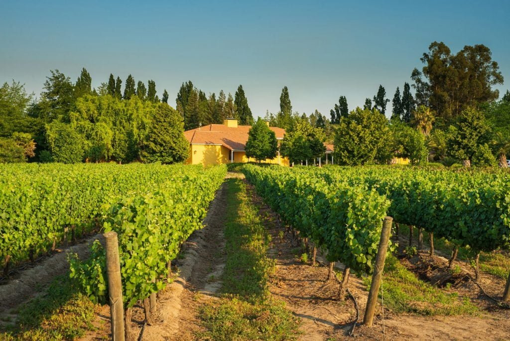 Enoturismo: los 8 destinos para amantes del vino 6 Vitrina Centro santiago valparaiso 3 Valle de Colchagua