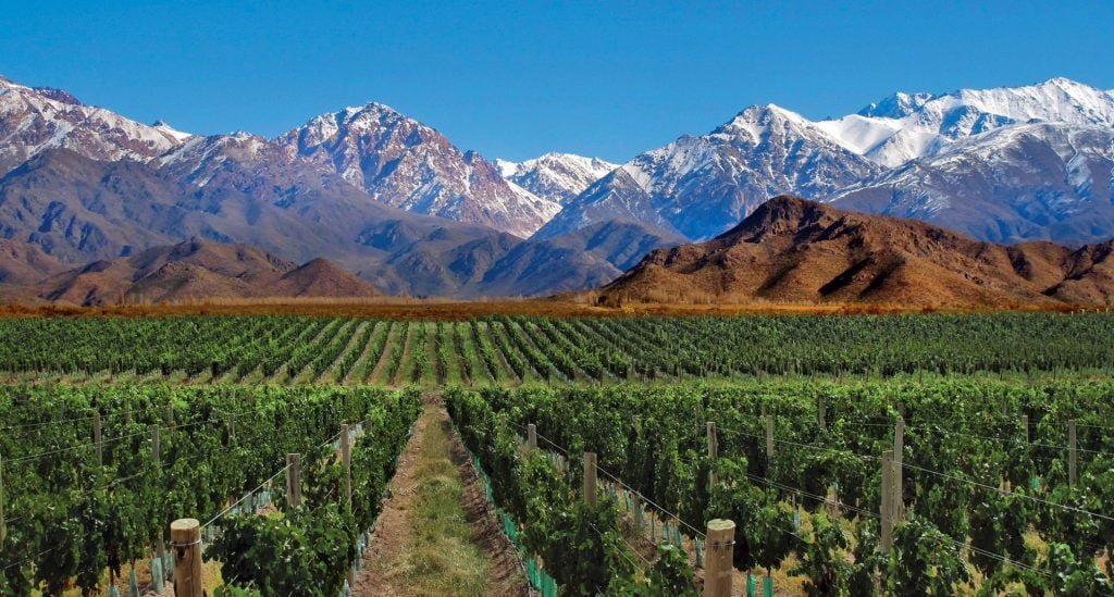Enoturismo: los 8 destinos para amantes del vino 7 enoturismo p