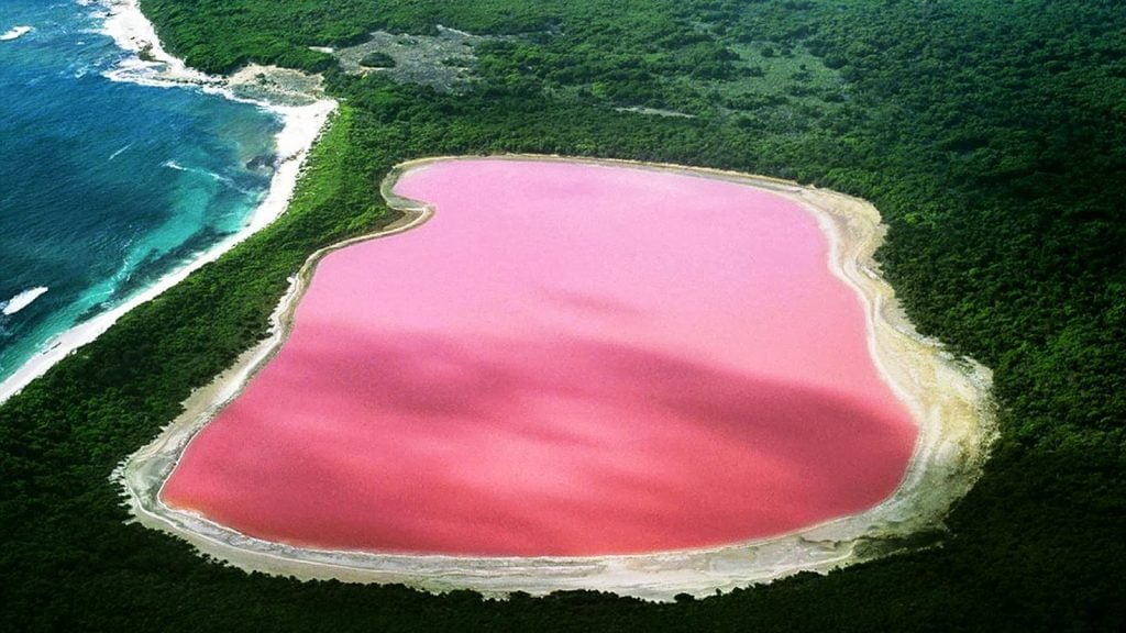 10 lugares rosas más bonitos del mundo 2 natural pink lake 1