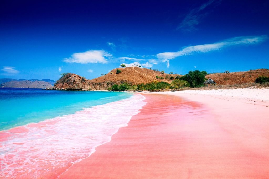 10 lugares rosas más bonitos del mundo 5 pink beach komodo island royalty free image 993367800 1561711107