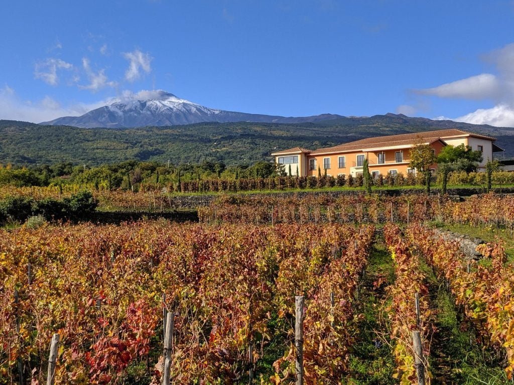 Monte Etna: la ruta número 1 de vino 4 vivera in autumn