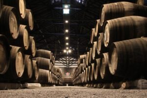 7 Cosas que hacer en valencia este fin de semana
