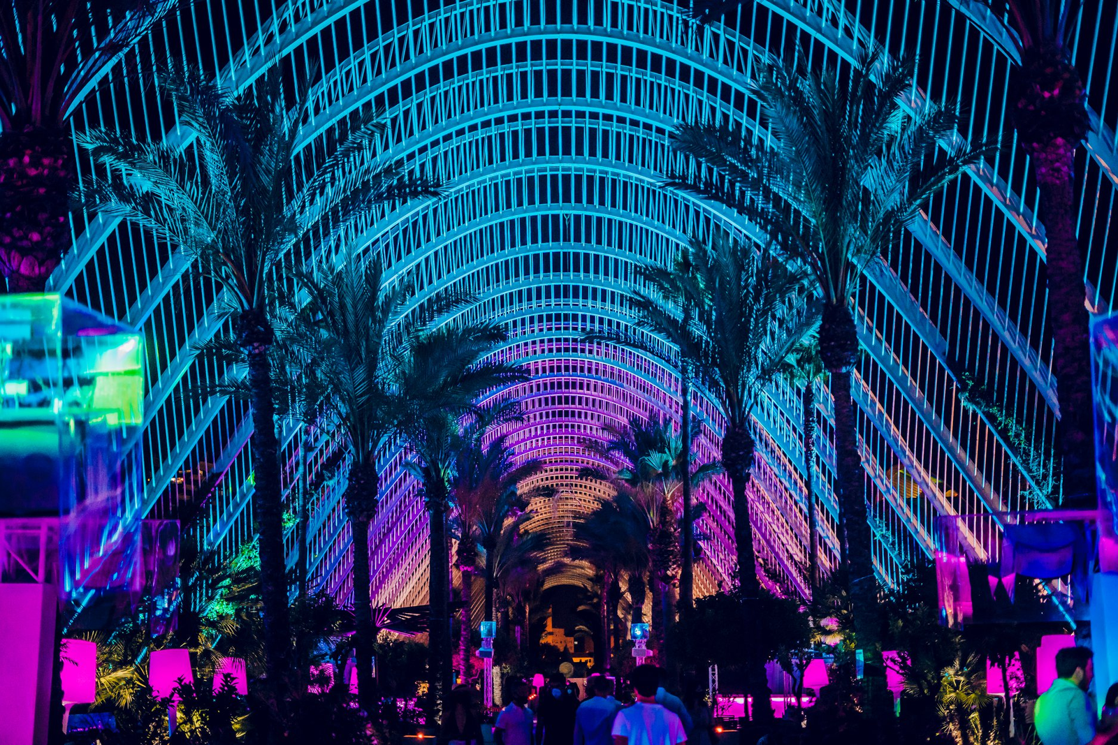 La Ciudad de las Artes y las Ciencias en Valencia 3 Wine Gogh