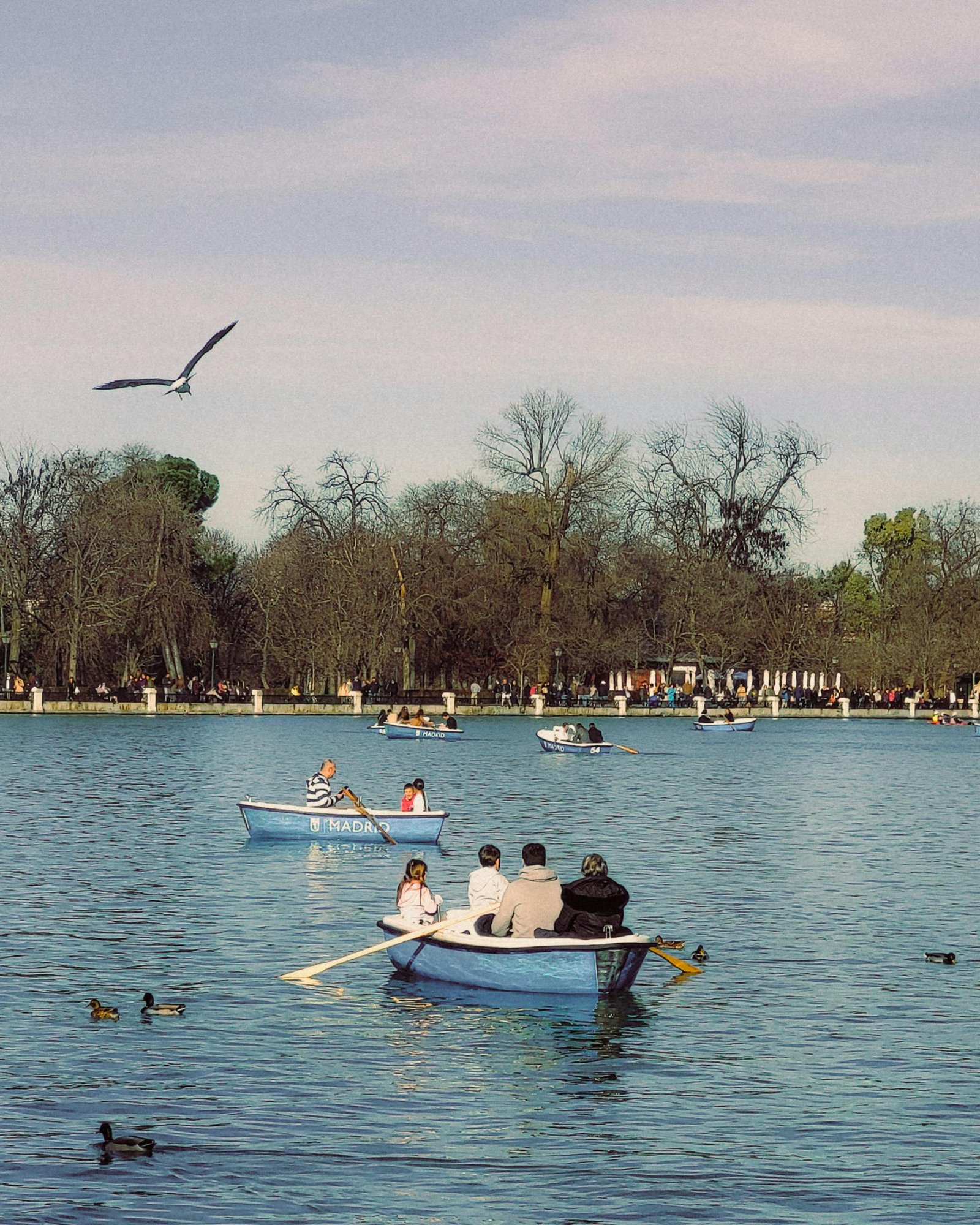 Madrid Hoy; Descubre Madrid con Una Jornada de Arte, Cultura y Gastronomía Top 5 3 Wine Gogh