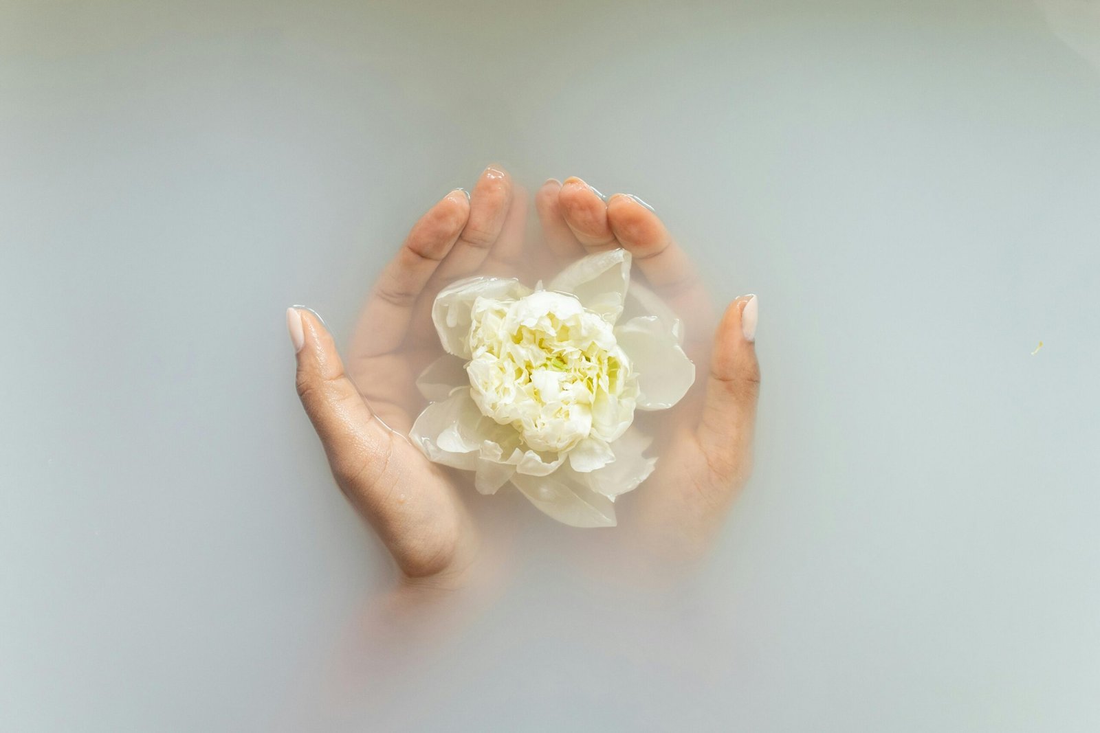 Spa Valencia; Descubre la Serenidad en Valencia Top Los 5 Mejores Spas para Renovar Cuerpo y Mente 2 Wine Gogh