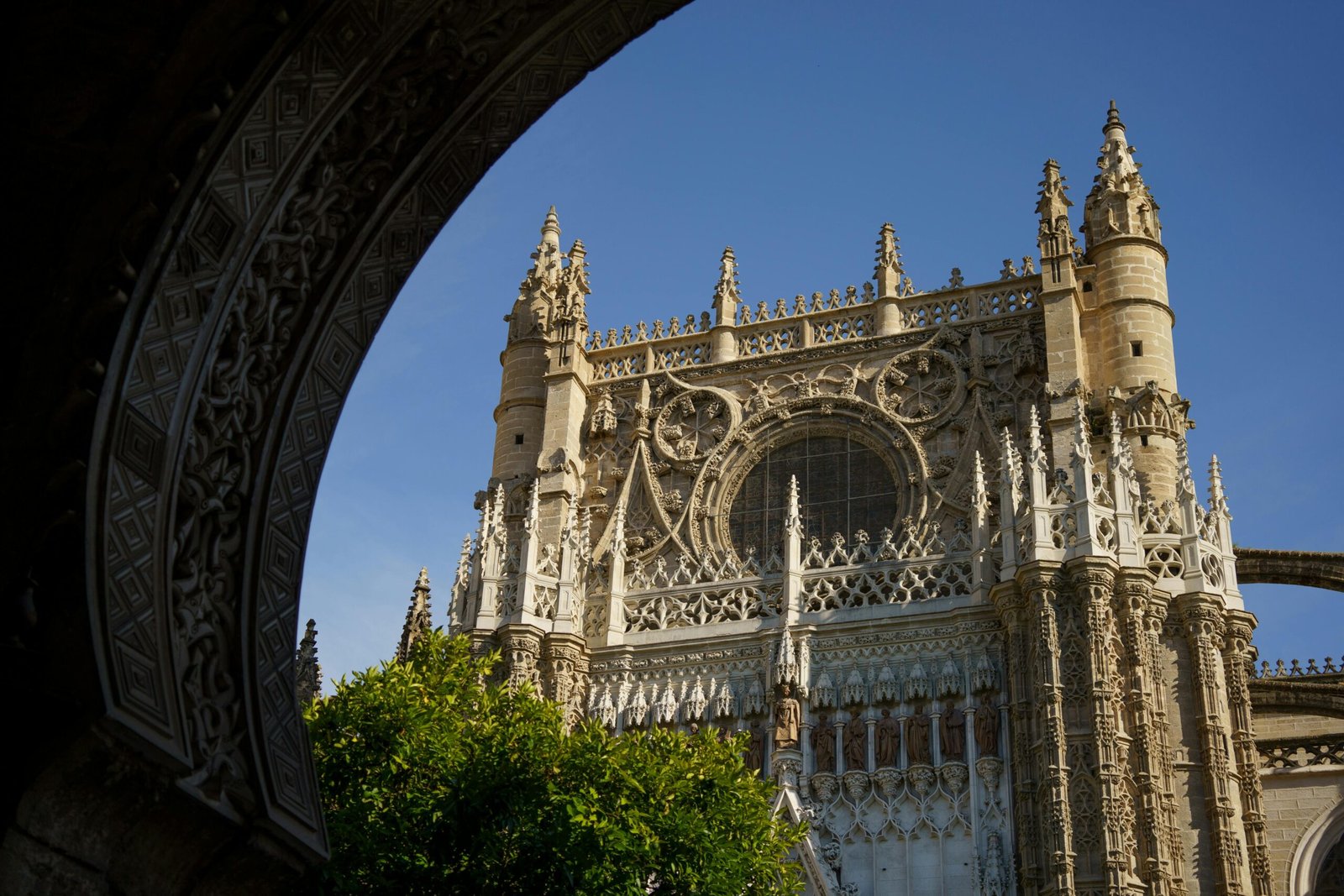 Cosas que hacer en Sevilla; Top 7 Experiencias Imprescindibles, con Wine Gogh en la Cima 1 cosas que hacer en sevilla