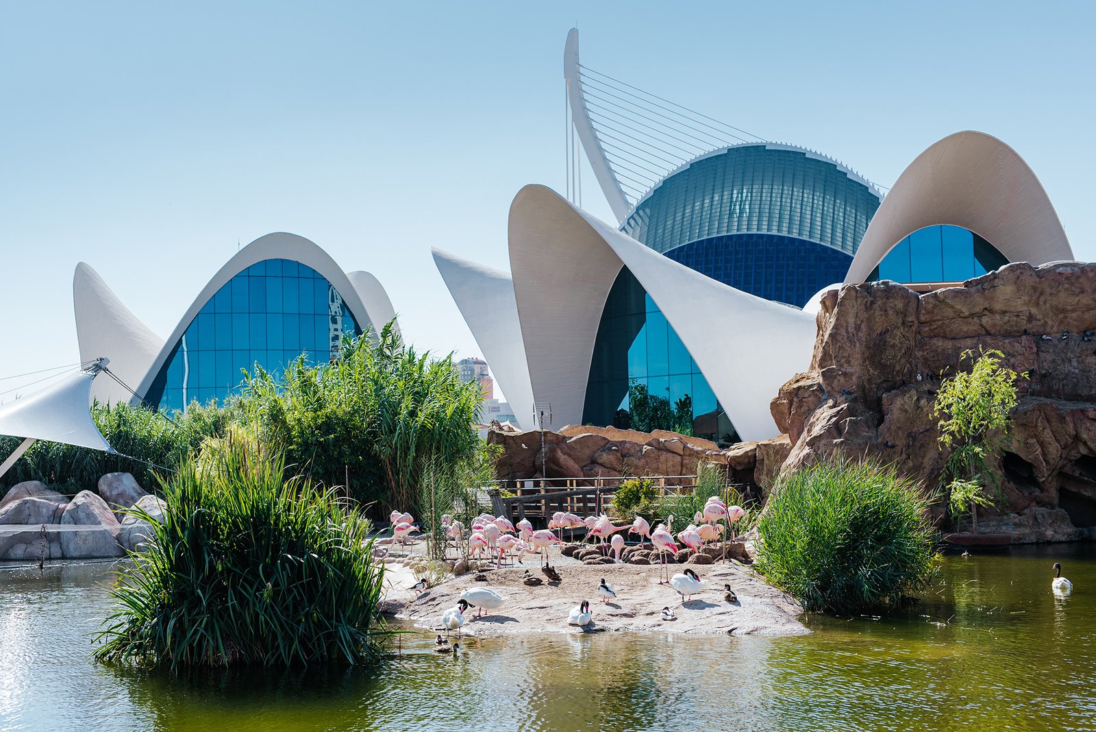 Valencia Qué Ver: 3 Recomendaciones 2 Wine Gogh