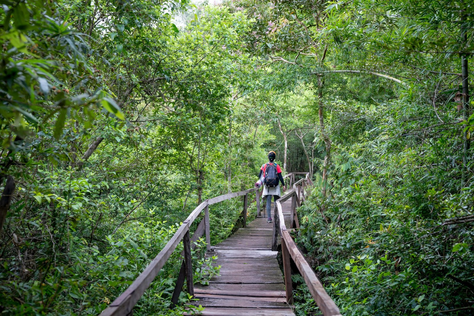 Senderismo y Naturaleza en Valencia; Descubre los 5 Mejores Rutas de Senderismo en Valencia para una Experiencia Inolvidable 1 Senderismo y Naturaleza en Valencia