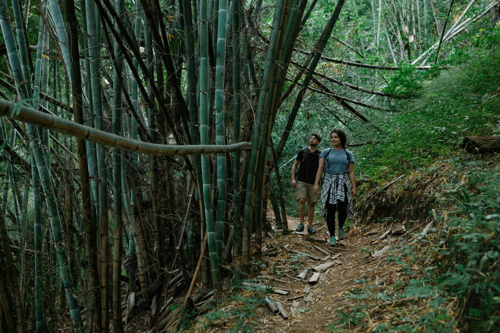 Senderismo y Naturaleza en Malaga; 5 Impresionantes Aventuras de Senderismo en Málaga 1 Senderismo y Naturaleza en Malaga
