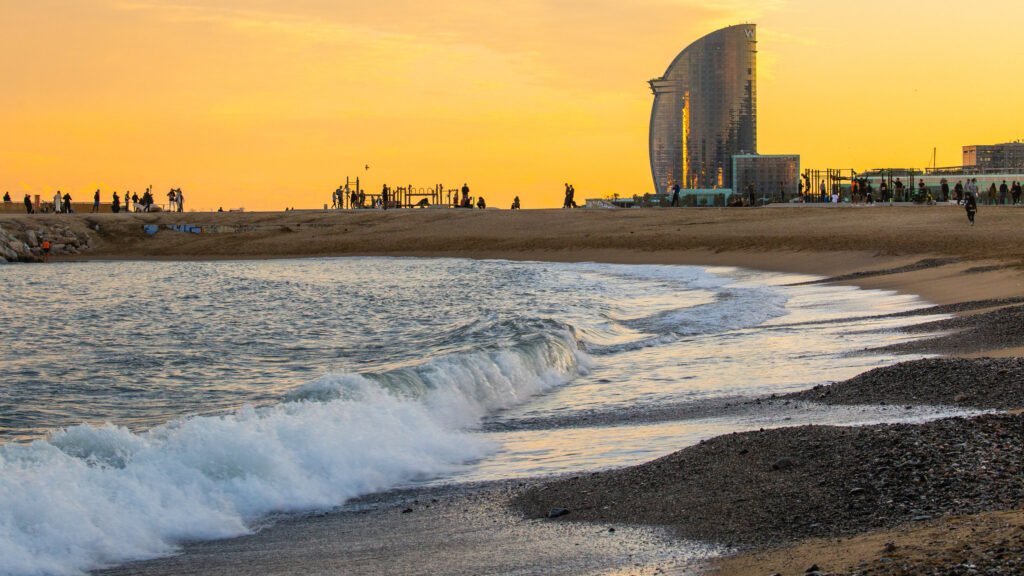 Qué Hacer en Barcelona Hoy: 1 Guía Completa para Disfrutar la Ciudad 6 Wine Gogh