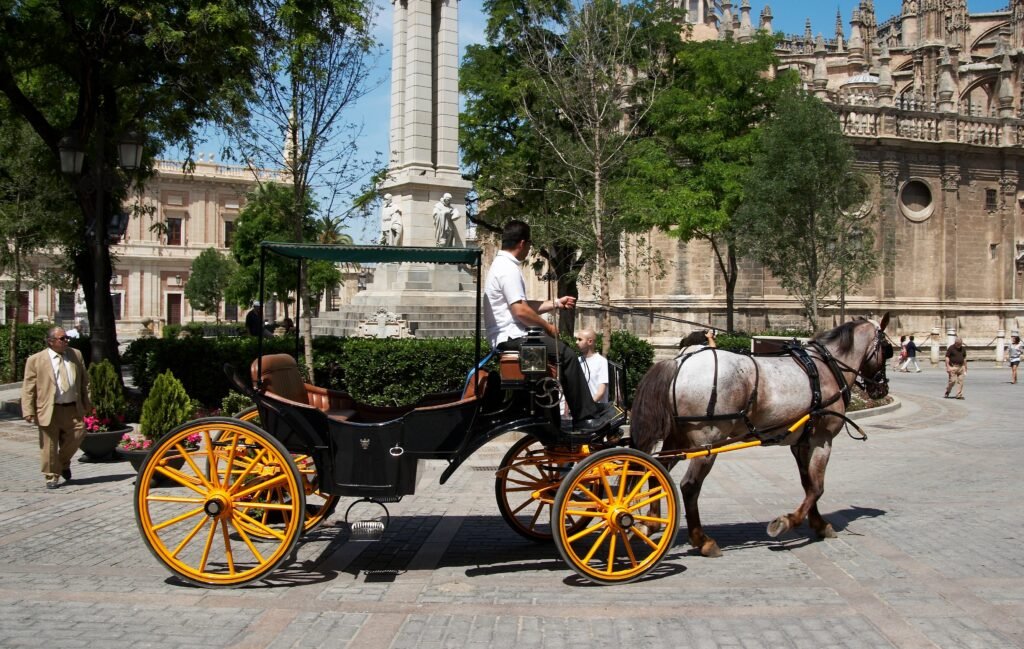 Qué Hacer en Sevilla: 1 Guía Completa de Actividades y Lugares Imperdibles 11 Wine Gogh