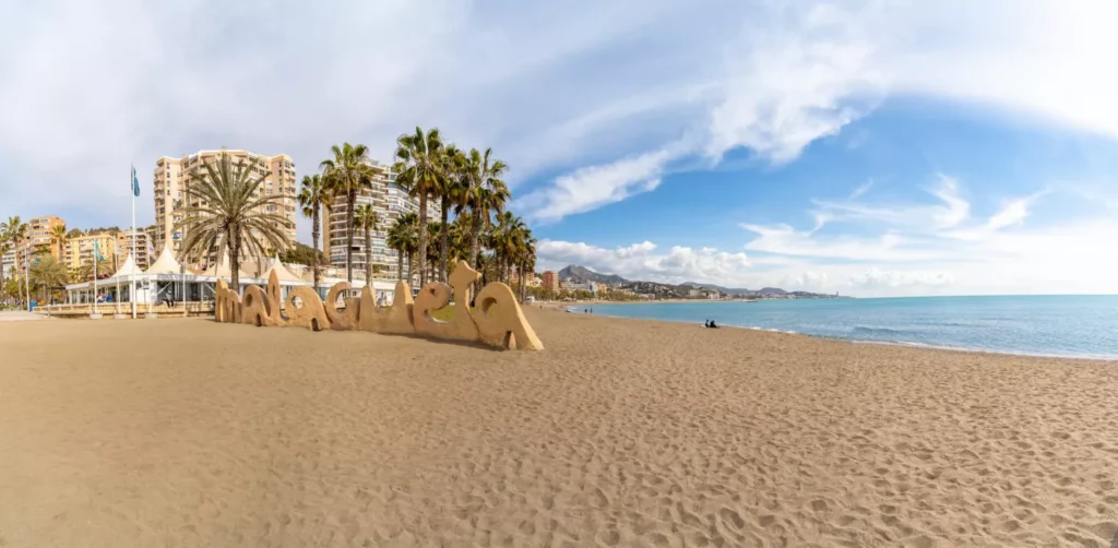 Qué Ver en Málaga Gratis: Descubriendo 5 Actividades que no te Puedes Perder 11 Wine Gogh