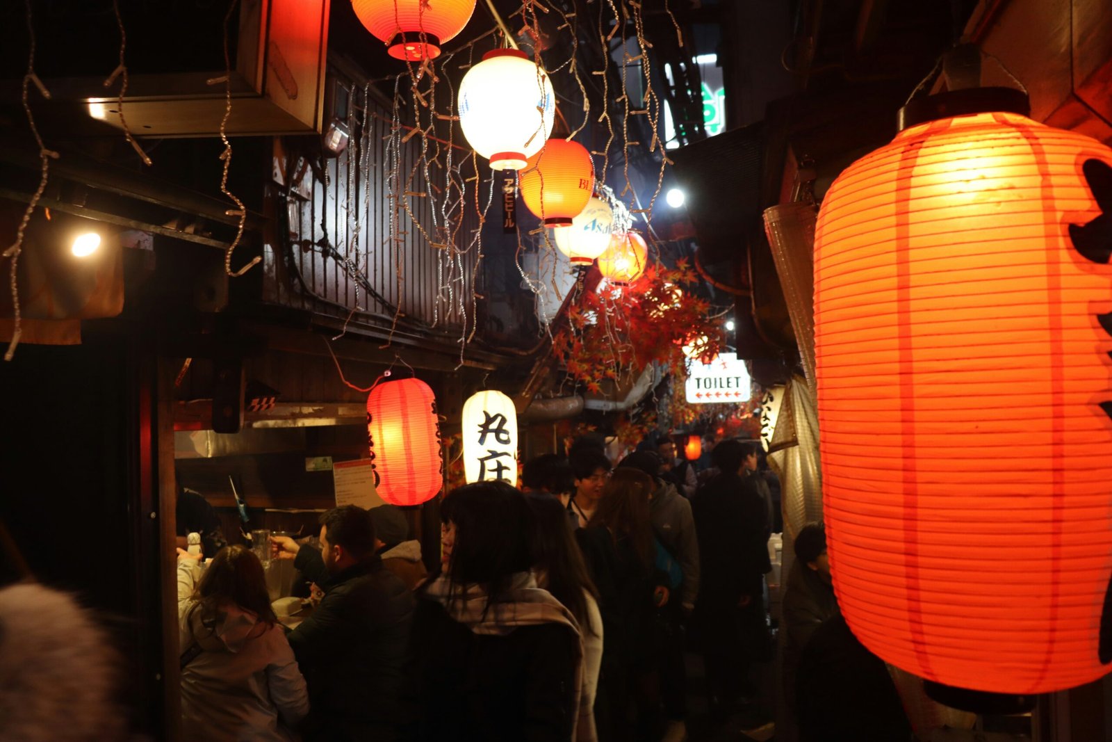Restaurante Japones en Valencia; 5 Restaurantes Japoneses en Valencia y la Experiencia Única de Wine Gogh 3 Wine Gogh