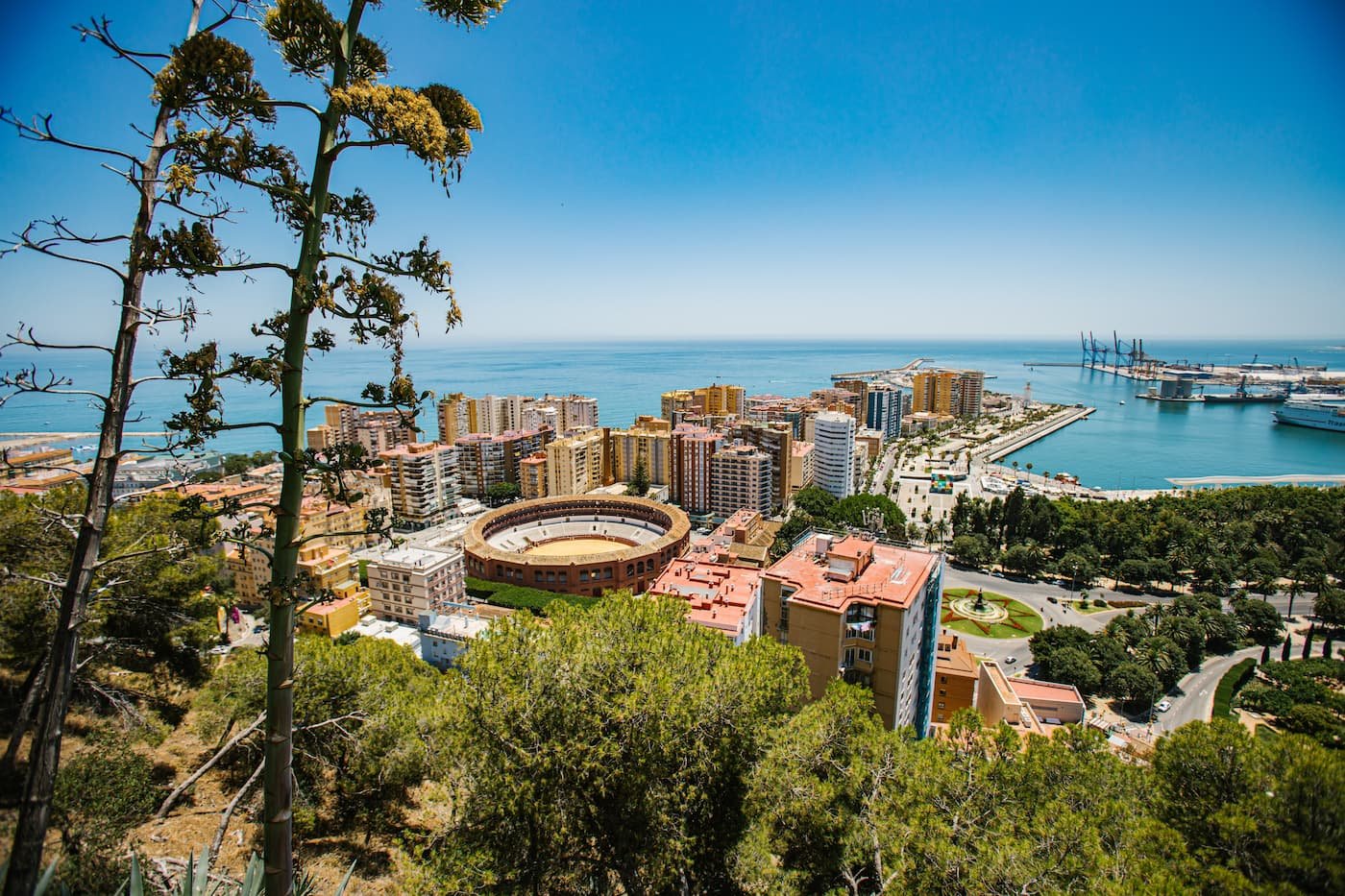 Sitios de Interés en Málaga: 1 Guía de Descubrimiento 2 Wine Gogh