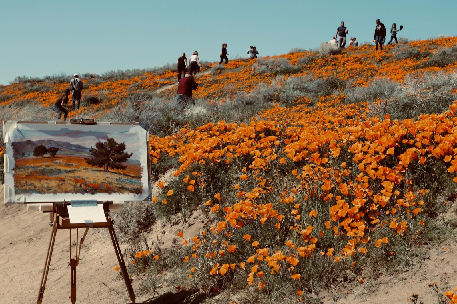 Arte en Madrid: 1 Viaje Cultural a Través de la Capital Española 2 Wine Gogh