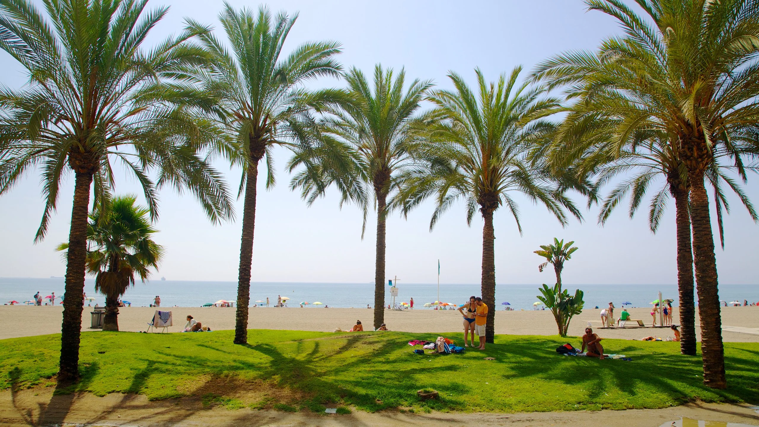 10 actividades que hacer en Málaga: disfruta de la ciudad en todo su esplendor 2 57190 Malagueta Beach