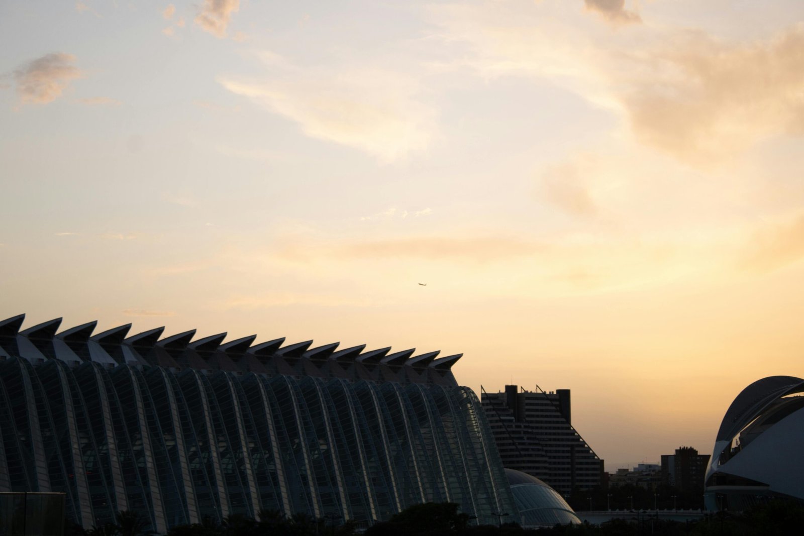 Ciudad de las Artes y las Ciencias: 1 joya arquitectónica y cultural de Valencia 3 pexels alessandra lombardi 1769124179 33950722 scaled