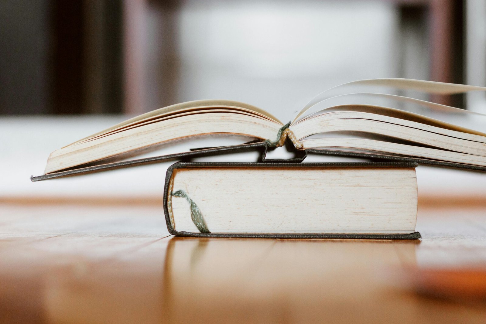 Los 6 mejores libros sobre arte que debes leer para entender y disfrutar el arte 2 pexels bilakis 4069088 scaled