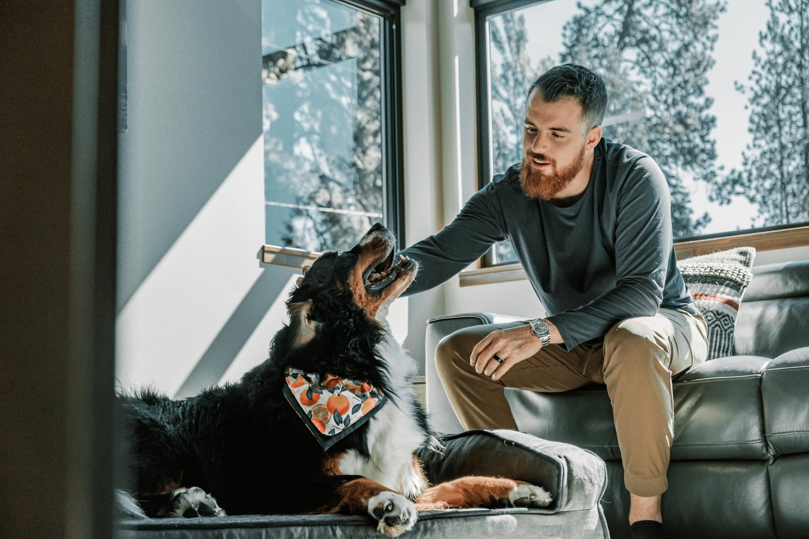 ciudades Pet Friendly en España