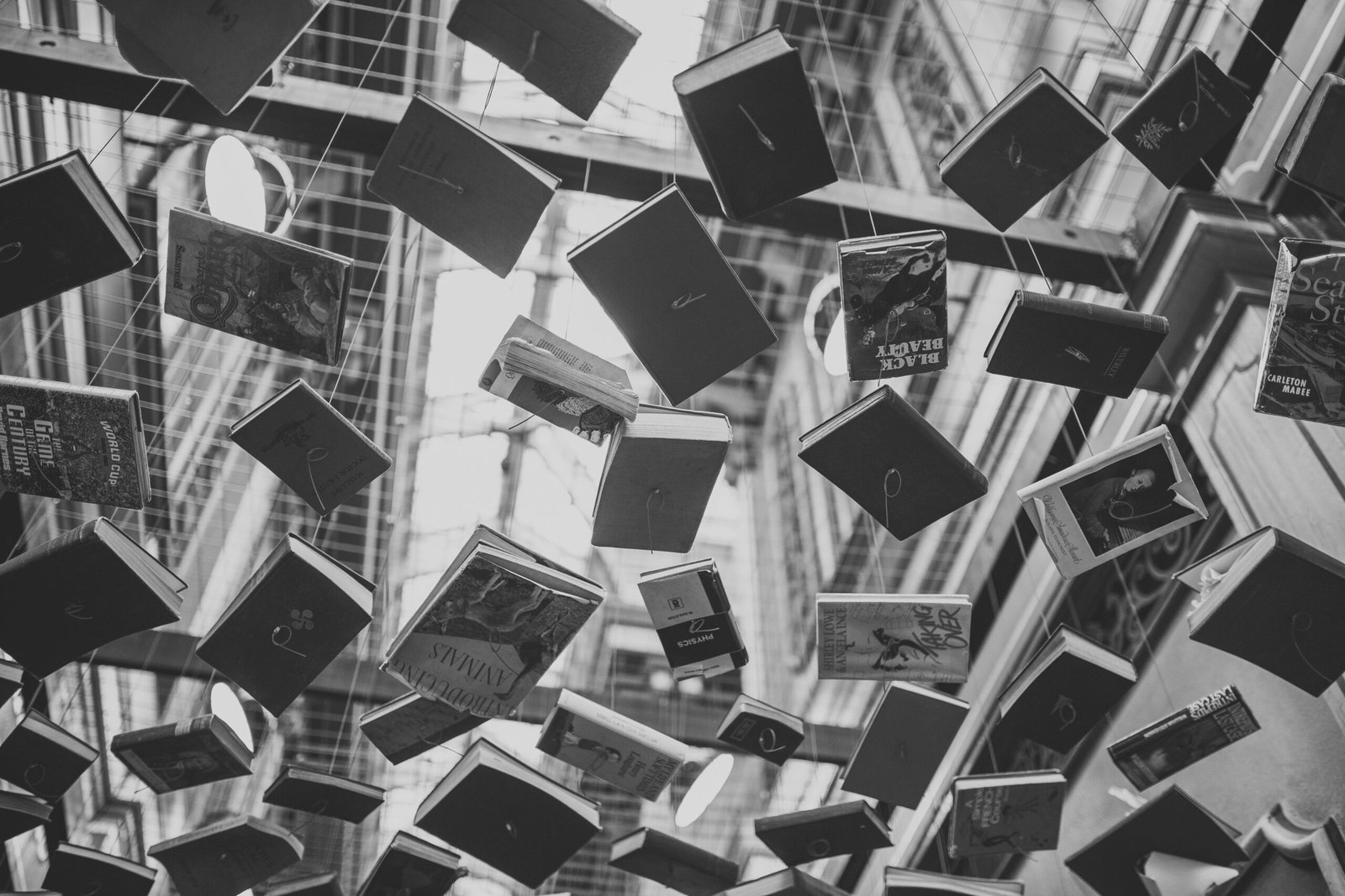 libros sobre arte