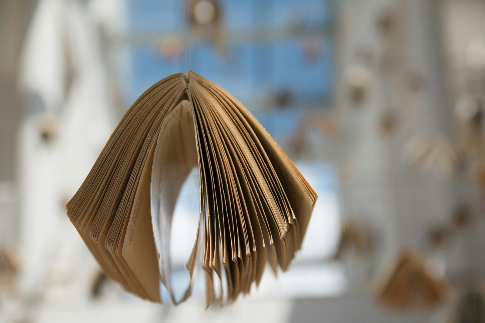 Los 6 mejores libros sobre arte que debes leer para entender y disfrutar el arte 3 pexels pixabay 51369 scaled