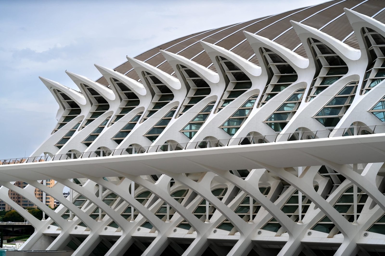 Ciudad de las Artes y las Ciencias: 1 joya arquitectónica y cultural de Valencia 4 pexels thales13 32561410 scaled
