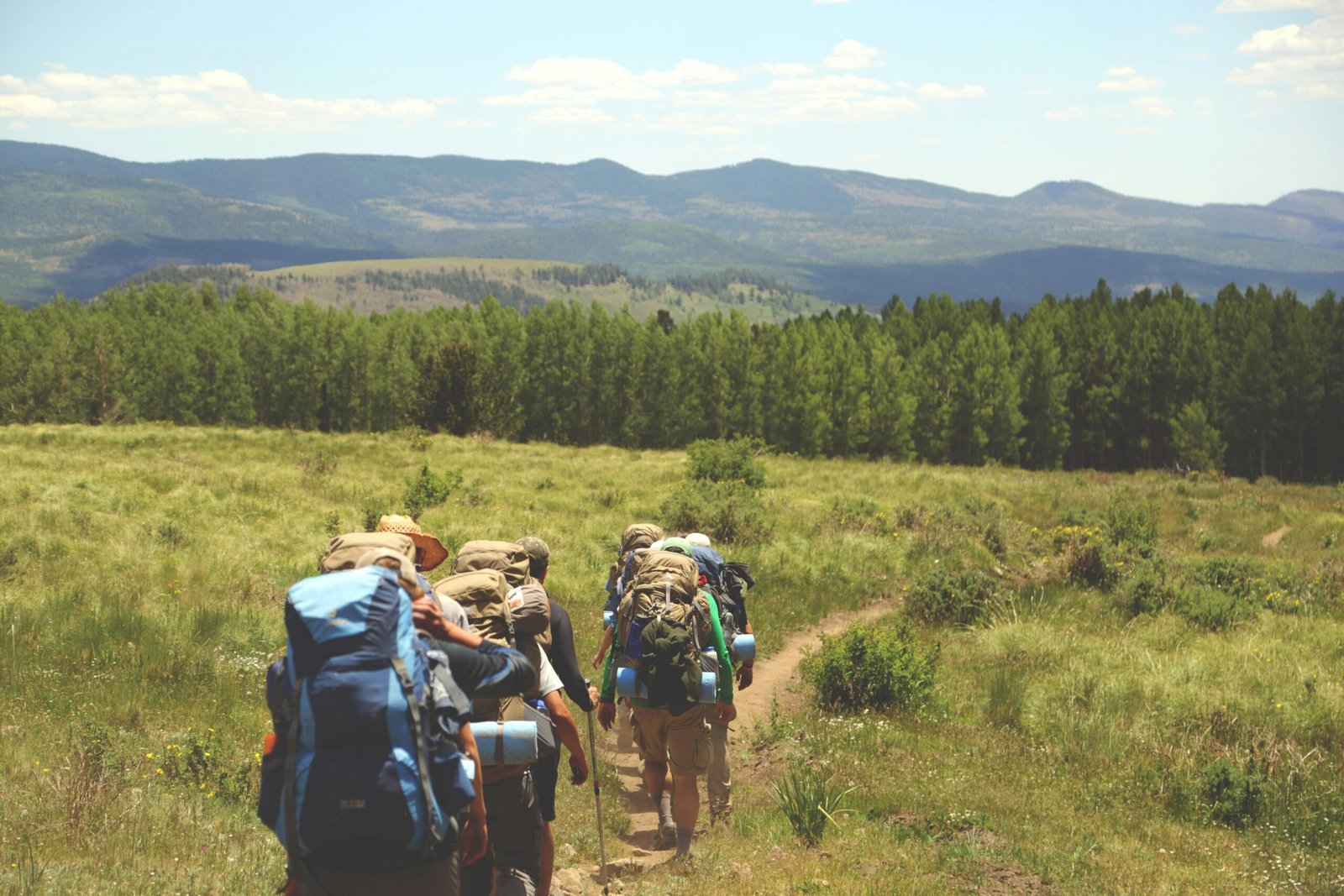 Rutas de senderismo en Madrid: descubre la naturaleza madrileña paso a paso 3 austin ban juHayWuaaoQ unsplash scaled