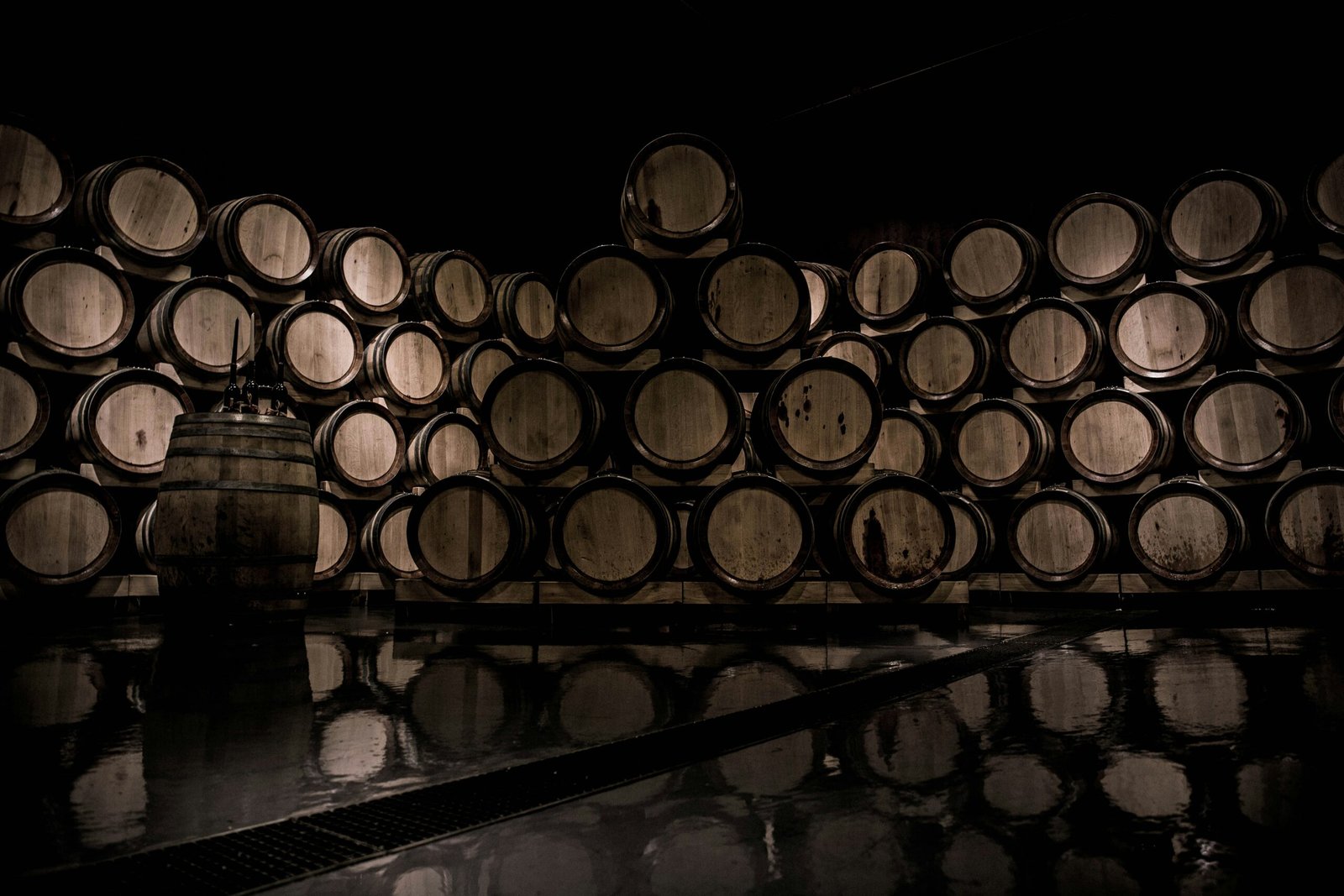 Vino tinto en España: 1 historia, variedades y cultura 3 daniel vogel NUD6cWNdBv8 unsplash scaled