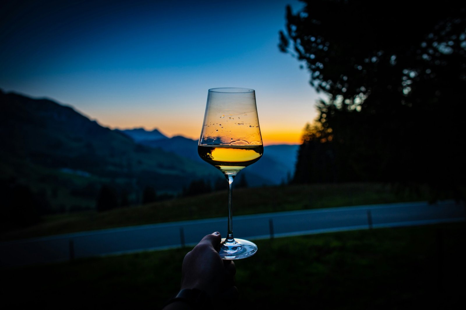 El vino en la pintura del Renacimiento: 1 símbolo de cultura, espiritualidad y sociedad 3 daniel vogel sKgGpXZTkGM unsplash scaled