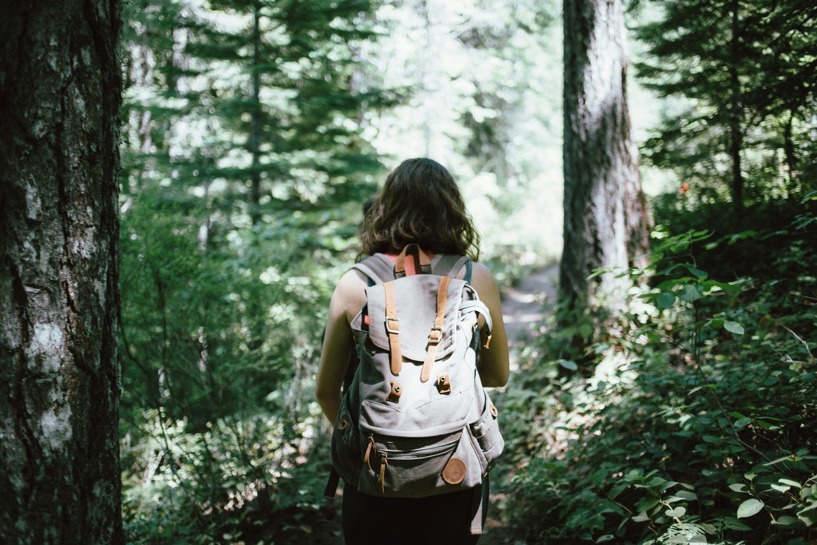 Rutas de senderismo en Madrid: descubre la naturaleza madrileña paso a paso 2 jake melara Yh6K2eTr FY unsplash scaled