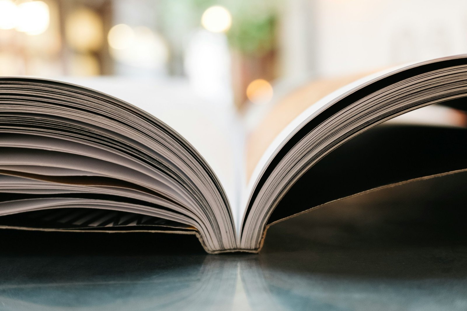Las 10 Mejores Librerías en Barcelona: Un Recorrido Literario Imprescindible 2 jonas jacobsson 0FRJ2SCuY4k unsplash scaled