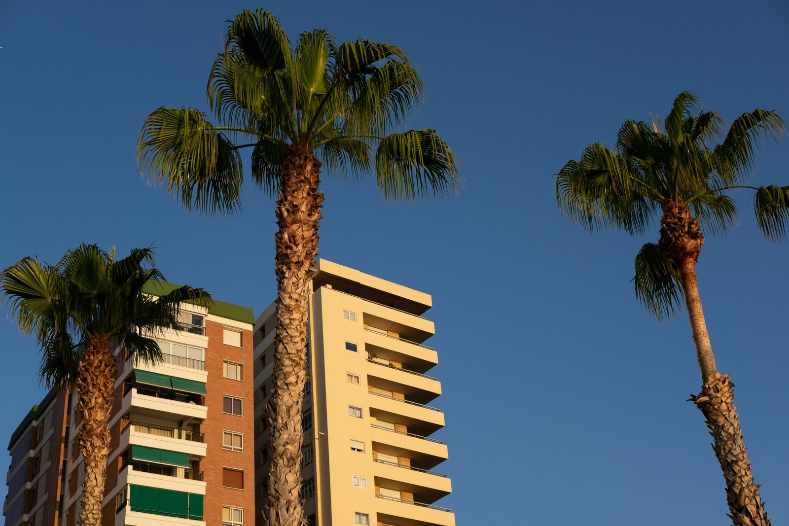 cosas que hacer en malaga