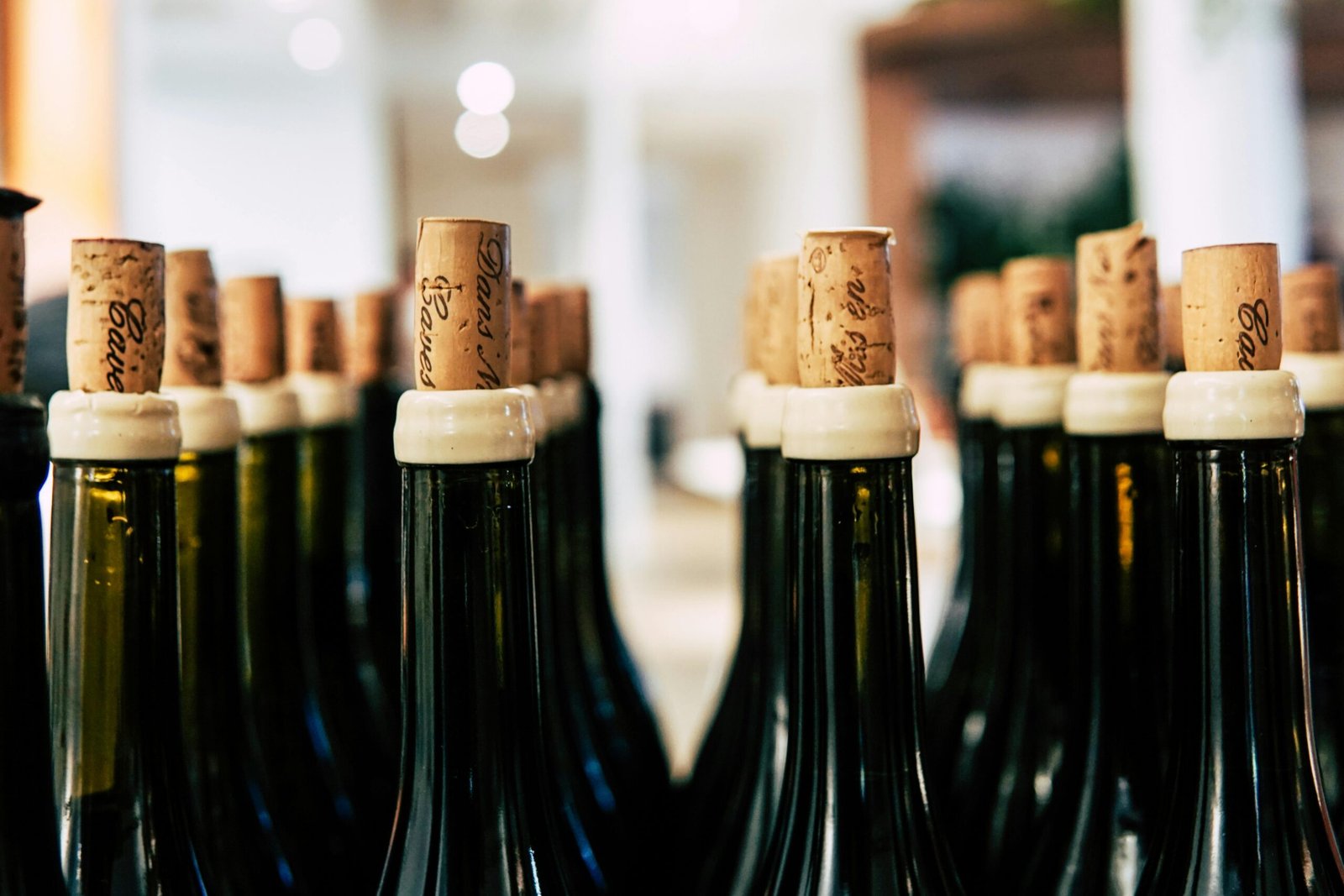 Tendencias de Vino en Barcelona en 2025: Innovación, Sostenibilidad y Cultura 1 Tendencias de vino en Barcelona