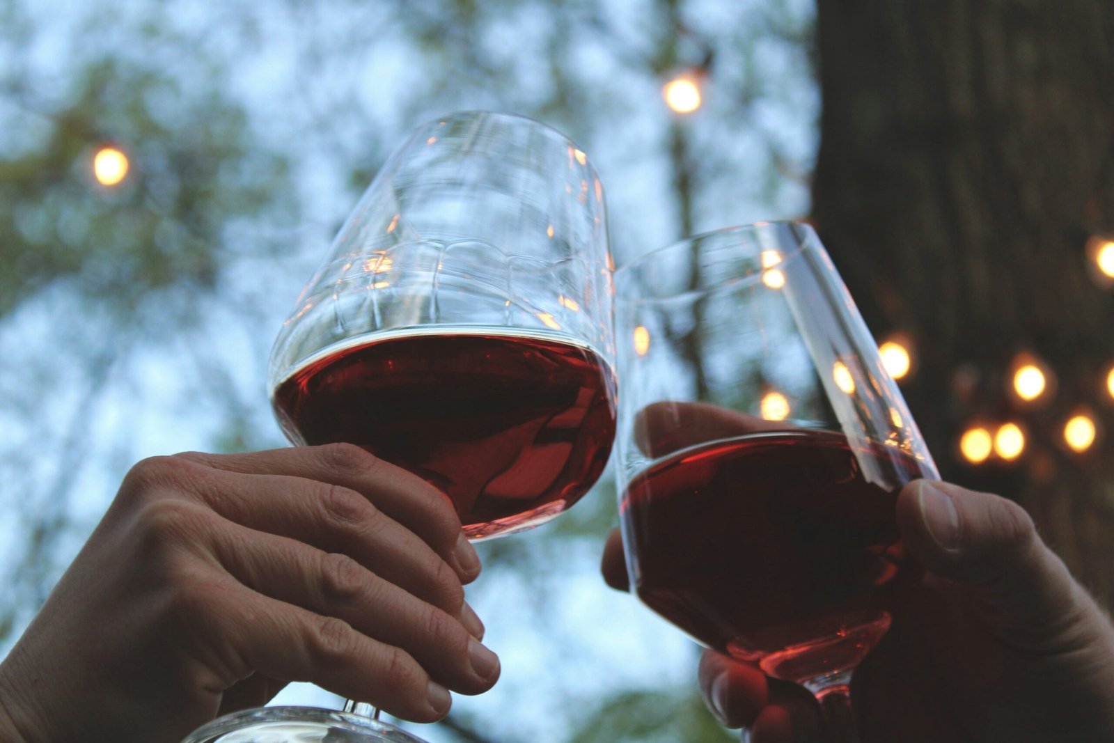 Museos de vino y arte en Europa
