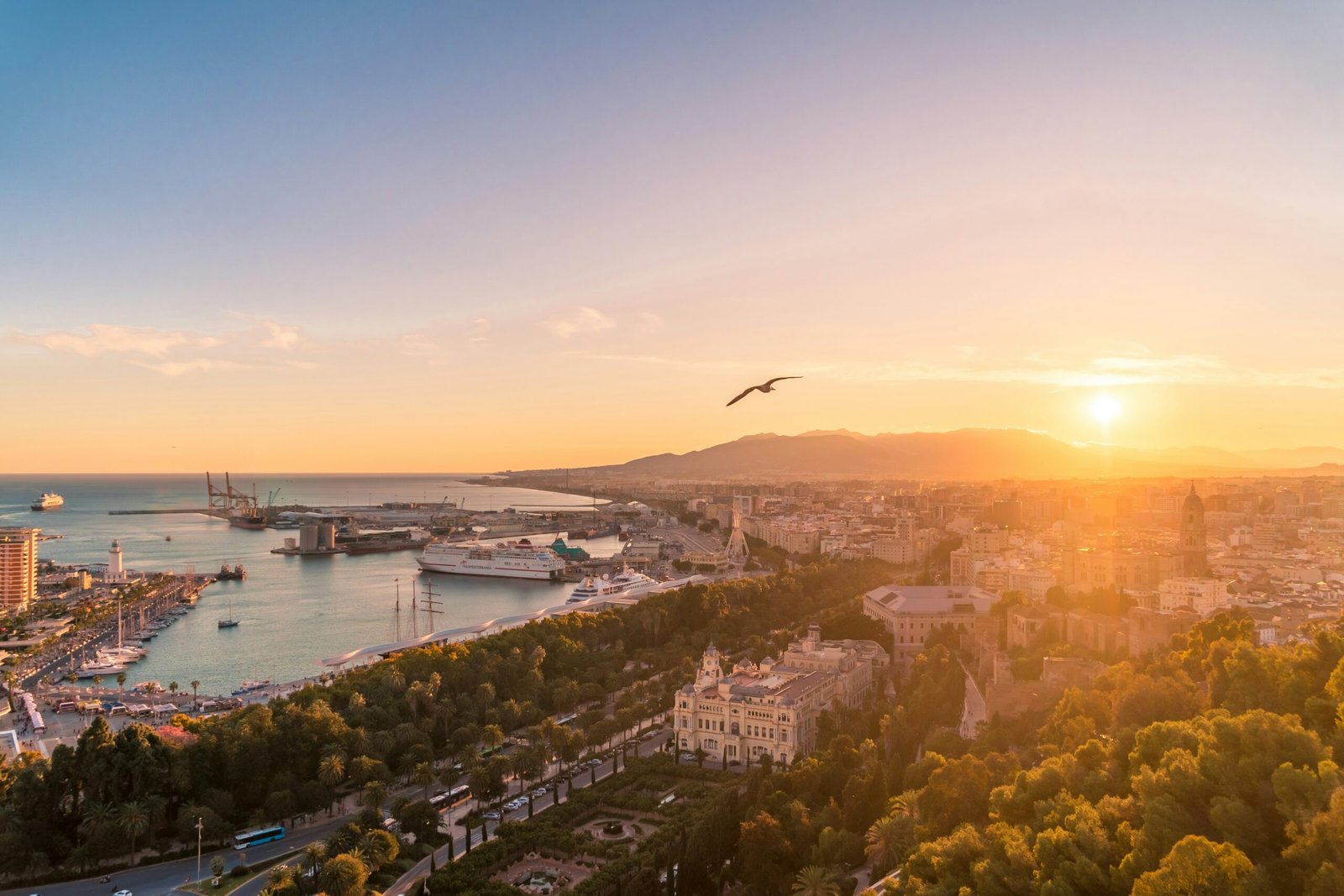 willian justen de vasconcellos 7vKP5BAm8wg unsplash scaled