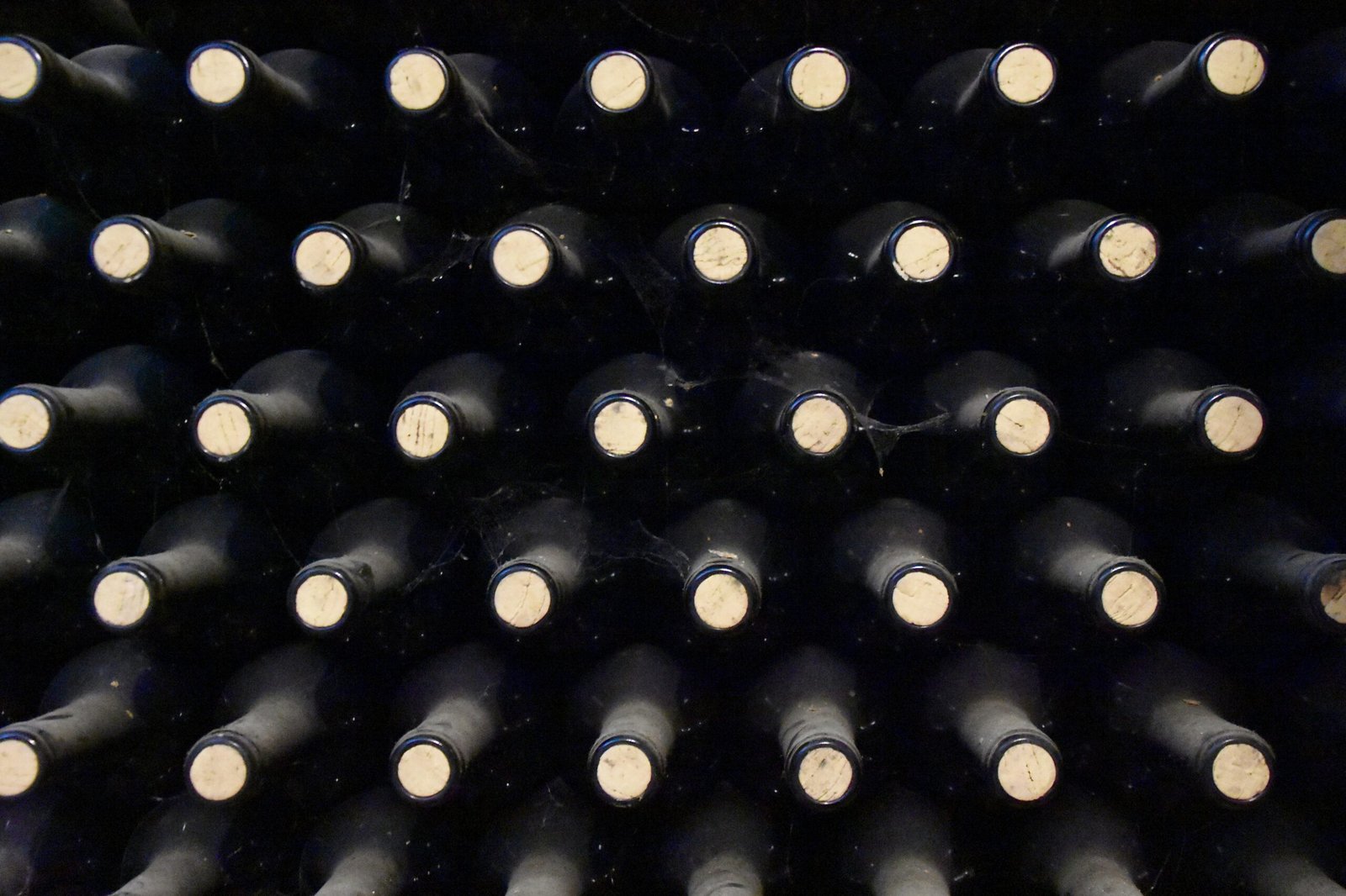 Maridaje de vinos y arte visual: 1 unión perfecta de sensaciones 3 yoko correia nishimiya 34 cEpcBjpE unsplash scaled