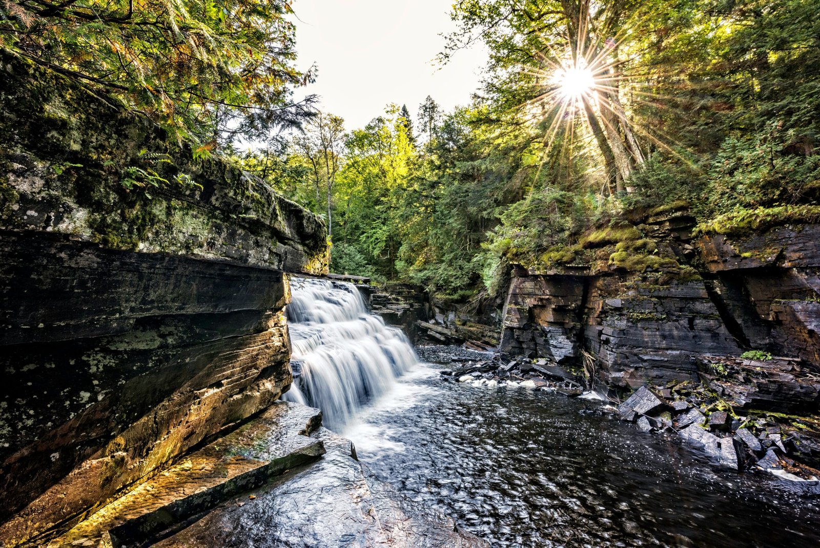 Cascadas en Sevilla: 1 Refugio Natural en la Ciudad y Sus Alrededores 3 dan gomer T dh6wbKiTI unsplash scaled